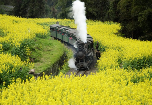 嘉阳小火车The steam locomotive of China